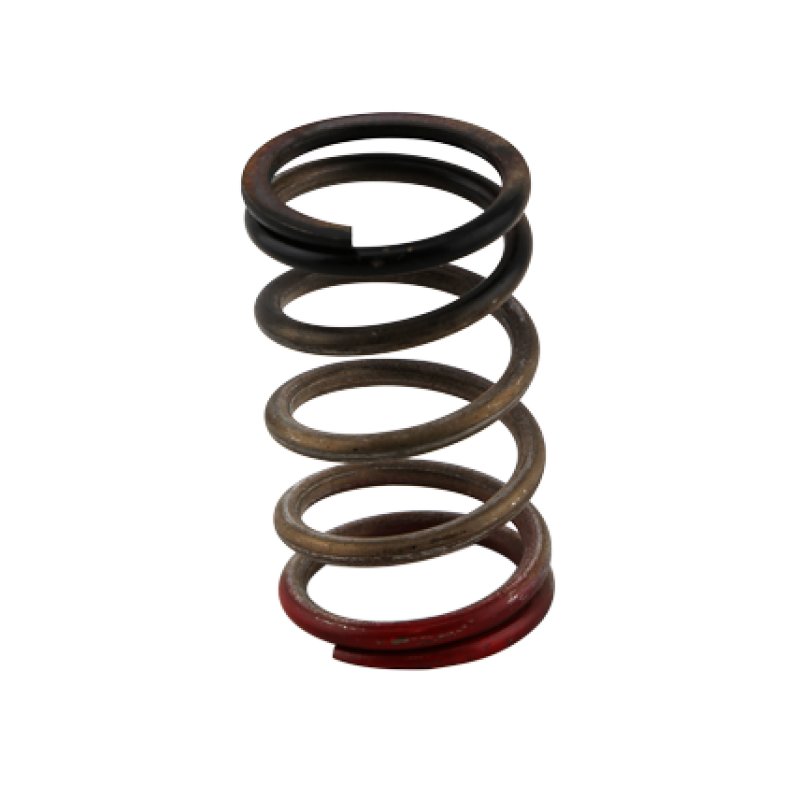 Wastegate Springs