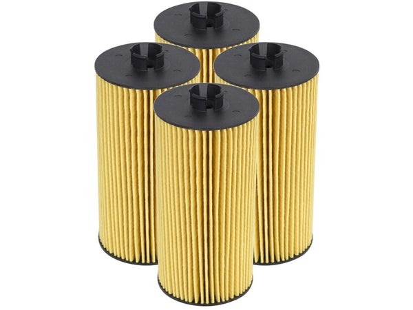 Oil Filters