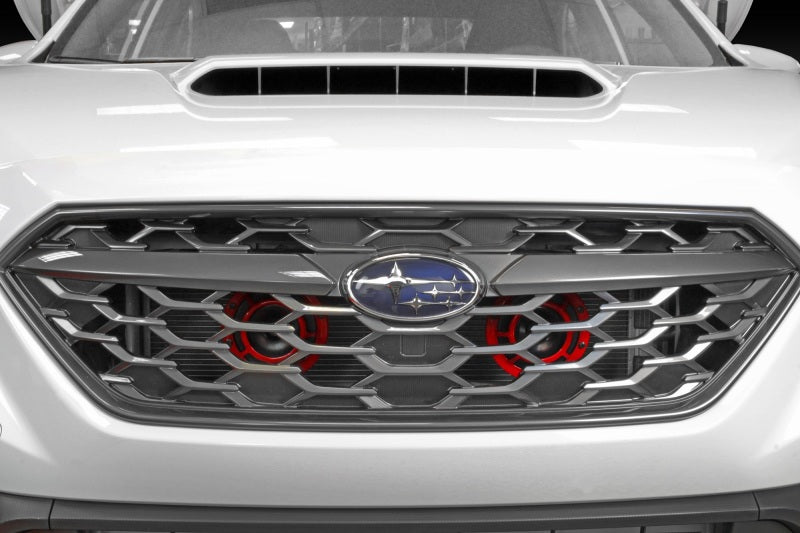 Perrin 2022 Subaru WRX Bracket for Hella Horns