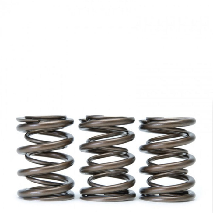 Skunk2 Tuner Series Honda/Acura (B16A/ B17A/ B18C) DOHC VTEC Alpha Valve Spring Set (Dual Springs)